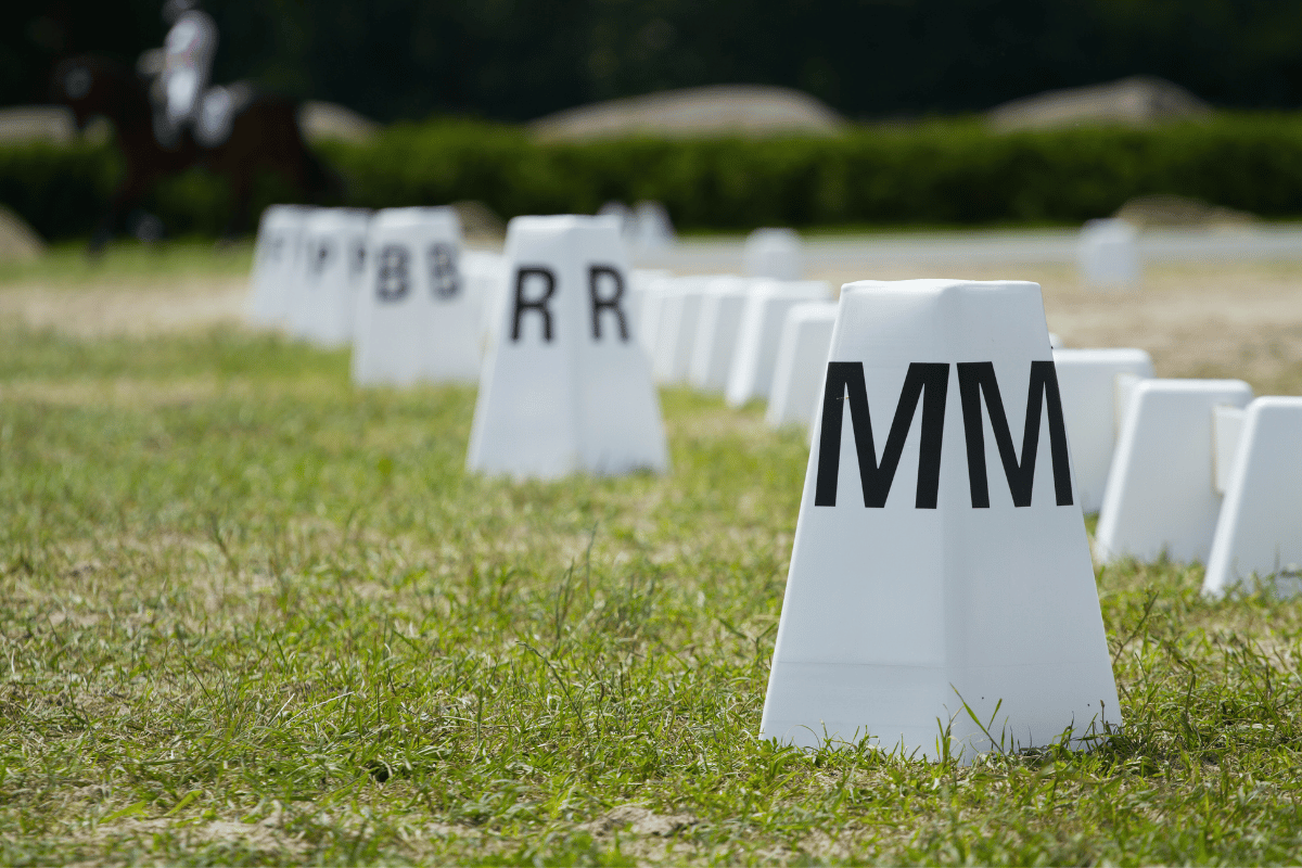 Blog: Zo voorkom je dat je paard traag wordt op wedstrijd